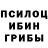Галлюциногенные грибы Psilocybe Clarence Thompson