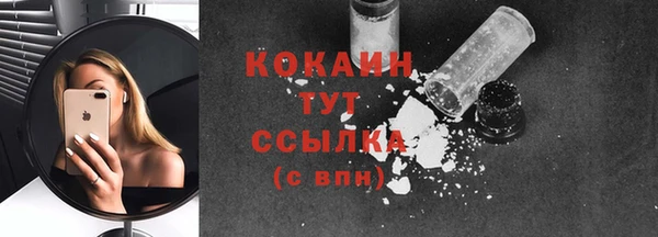 стаф Богданович