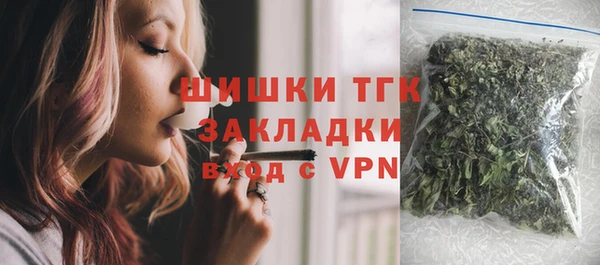 прущие грибы Белокуриха