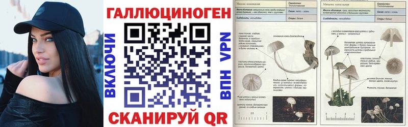 наркотики Городец Галлюциногенные грибы прущие грибы
