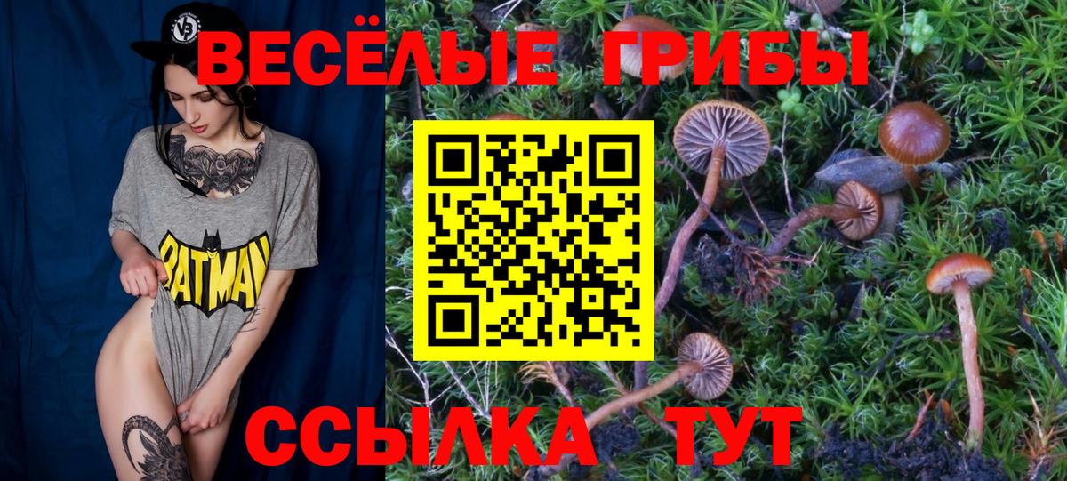 Городец  Псилоцибиновые грибы Psilocybe  купить наркотик  Вход с VPN 