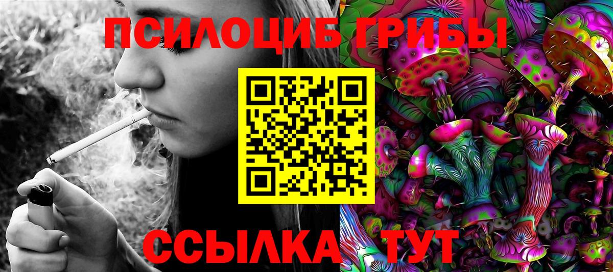 Псилоцибиновые грибы Magic Shrooms Городец